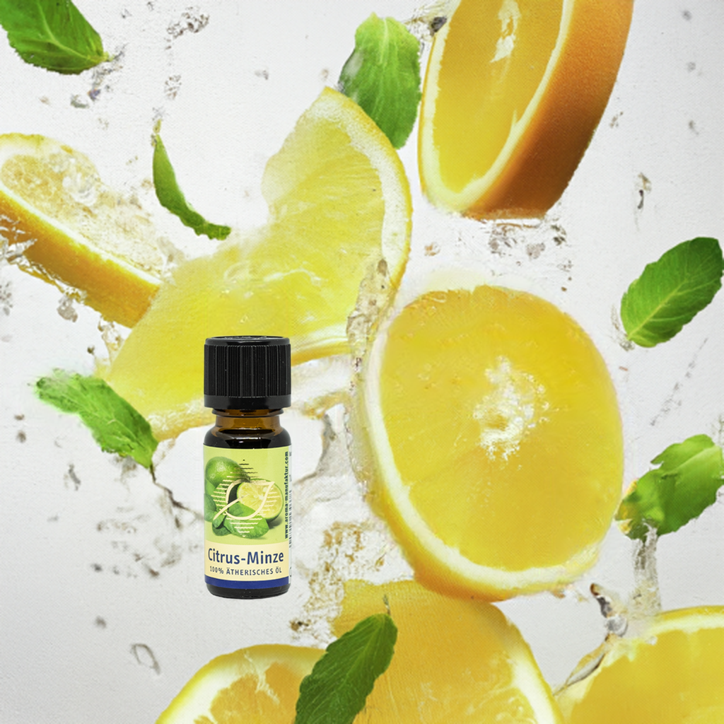 Belebend – Citrus & Pfefferminze – ätherische Ölmischung Aroma Manufaktur® ätherisches Öl