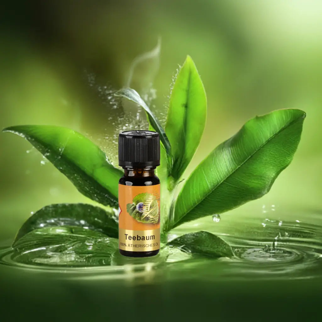 Teebaumöl 100% naturrein – Ätherisches Öl für Hautpflege & Wellness Aroma Manufaktur®