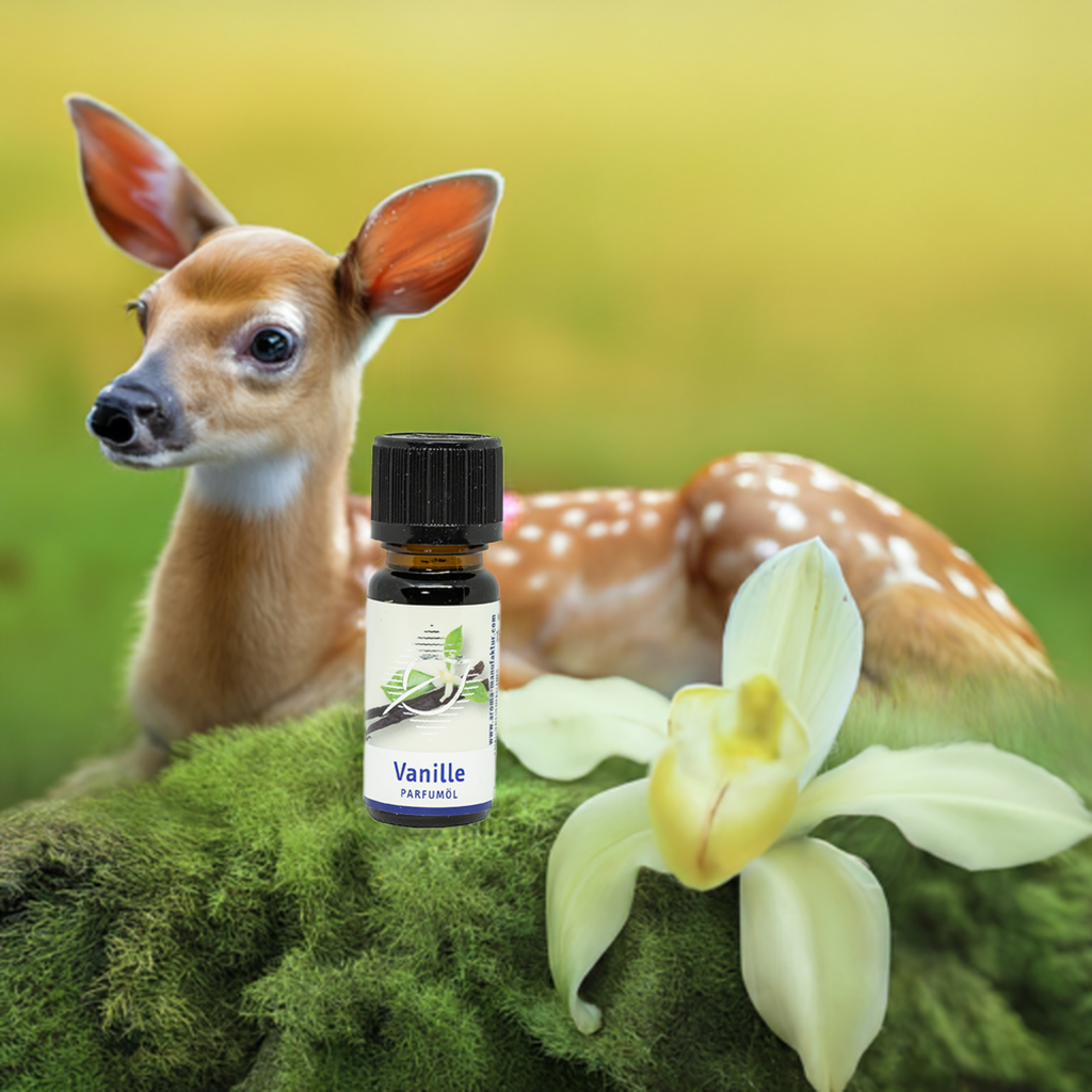 Vanille Duftöl – Beruhigender & süßer Raumduft für Diffuser, 10 ml Aroma Manufaktur® ätherisches Öl