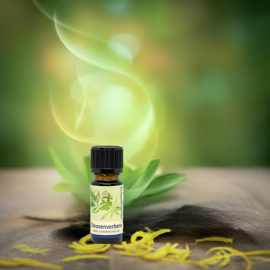 Erfrischend – Zitronenverbene (Aloysia citriodora) – ätherisches Öl Aroma Manufaktur®