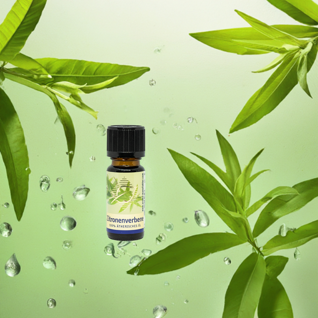 Erfrischend – Zitronenverbene (Aloysia citriodora) – ätherisches Öl Aroma Manufaktur®