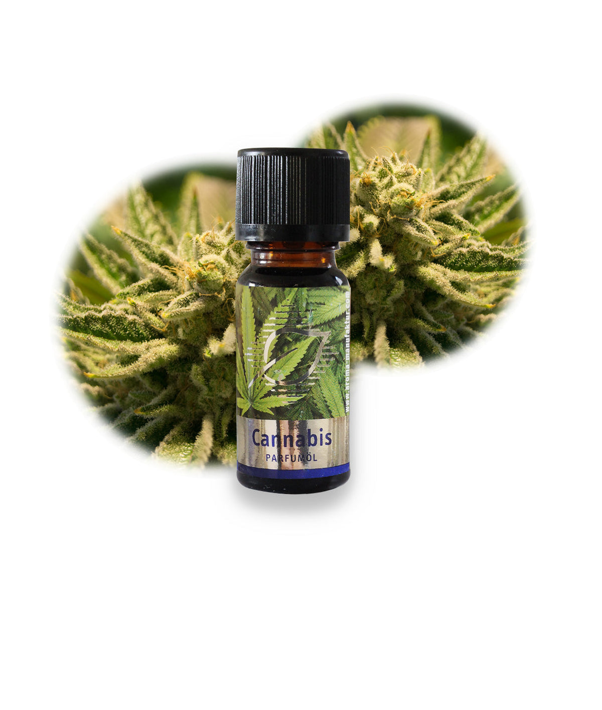Cannabis Duftöl - Natürlich würzig & entspannend für Raumduft, 10 ml Aroma Manufaktur® ätherisches Öl