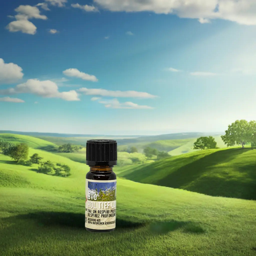 Hol Tief Luft Duftmischung - Bio Ätherisches Öl 10 ml Badezusatz, Atme durch, Durchatmen, Immunsystem, Frisches Duftöl, Diffusor, Inhalieren Aroma Manufaktur®