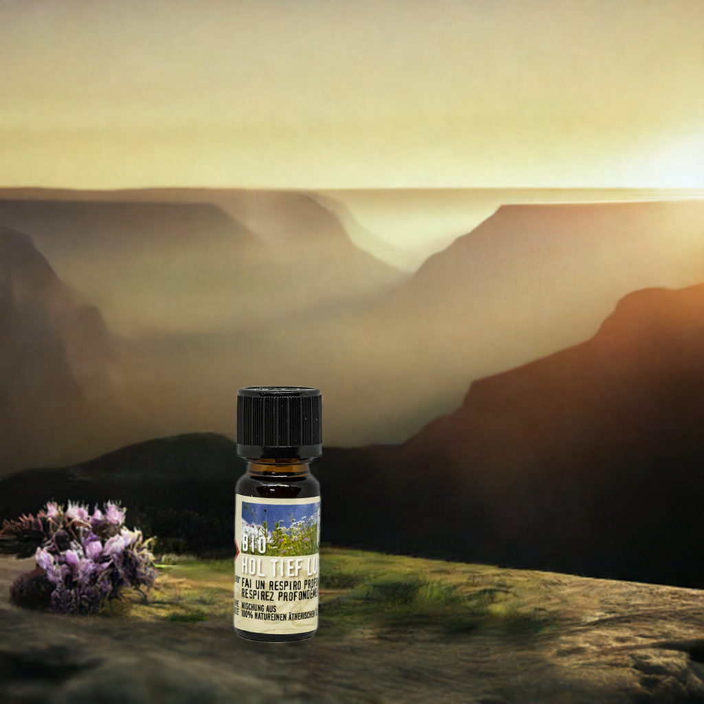 Befreiend – Bio Hol tief Luft – ätherische Ölmischung Aroma Manufaktur® ätherisches Öl