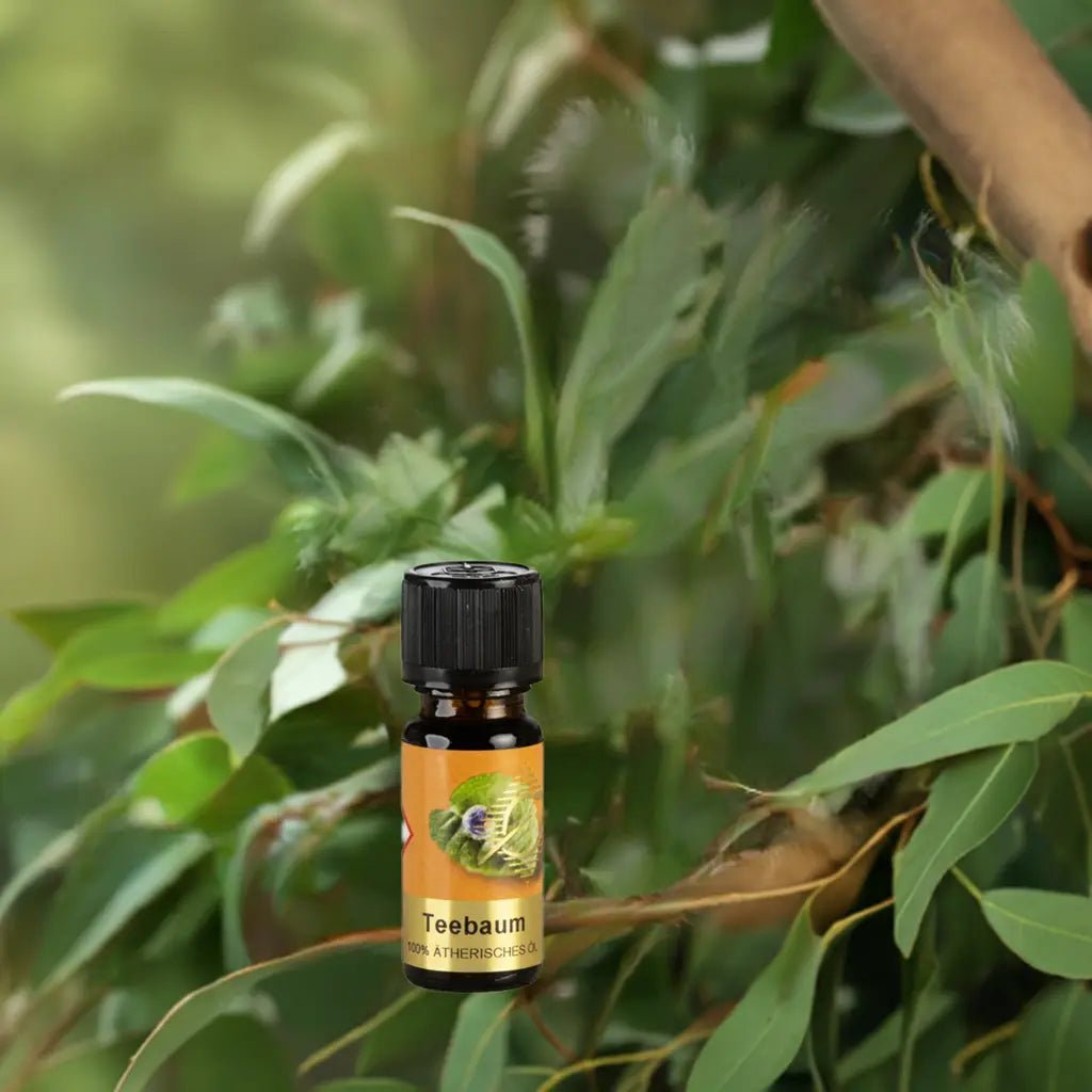 Teebaumöl 100% naturrein – Ätherisches Öl für Hautpflege & Wellness Aroma Manufaktur®