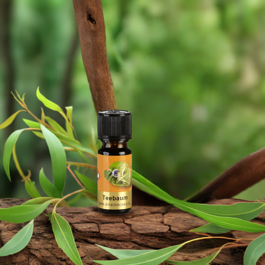 Klärend & frisch – Teebaum – ätherisches Öl Aroma Manufaktur®