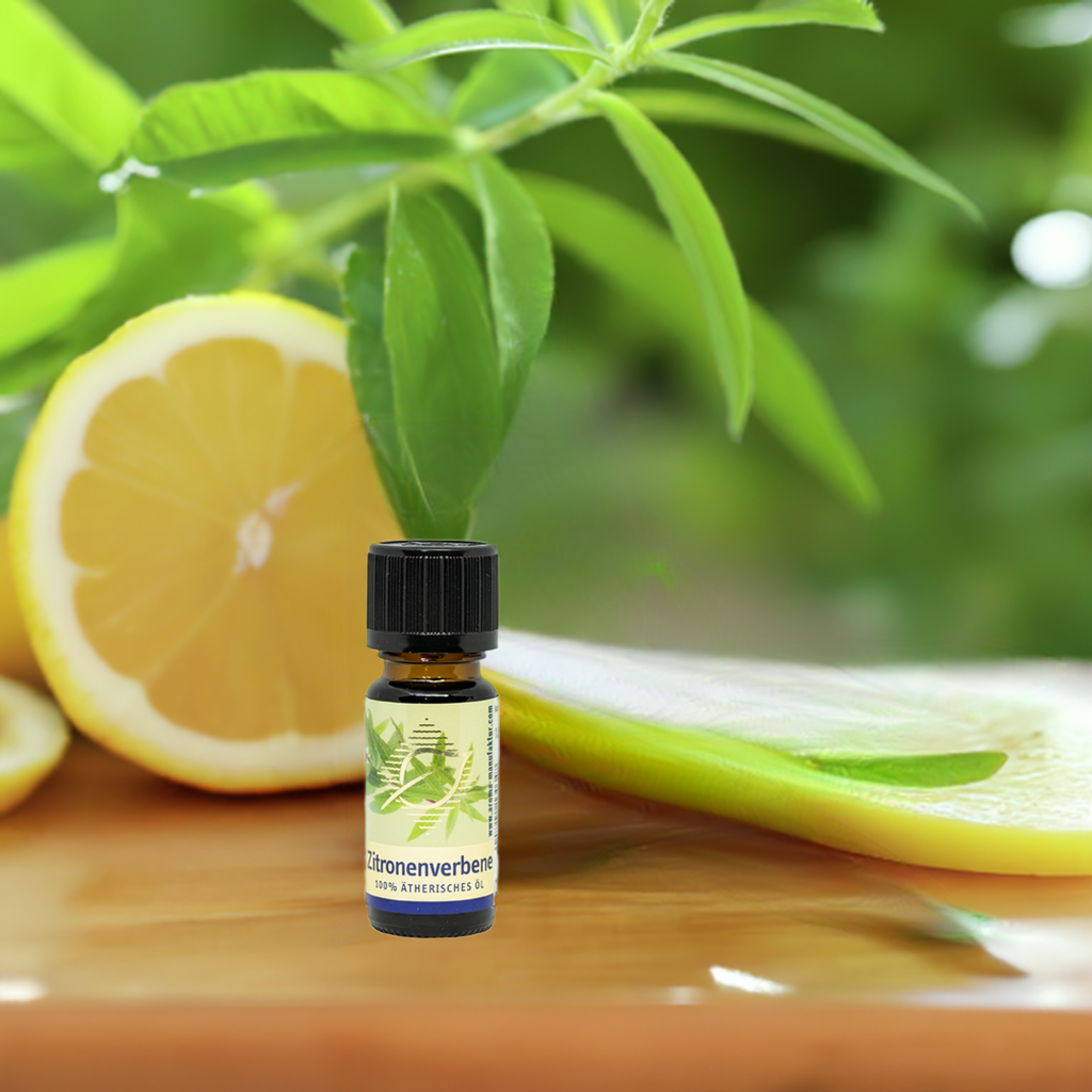 Erfrischend – Zitronenverbene (Aloysia citriodora) – ätherisches Öl Aroma Manufaktur®